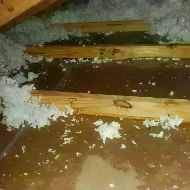 Attic Water Damage in Buchanan, VA